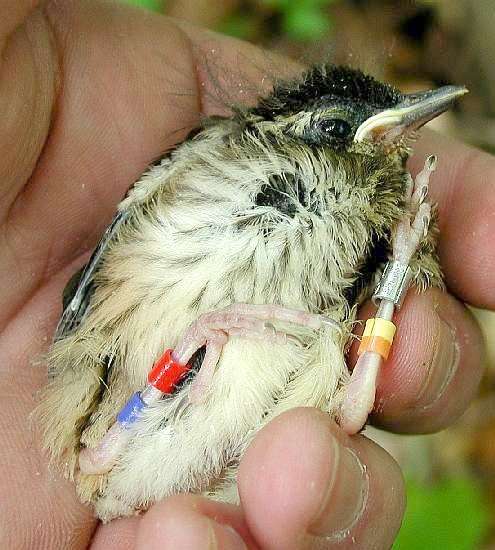 Pictorial Highlights_ 051925_2003